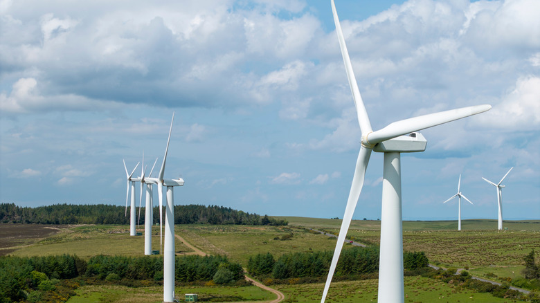 Wind farm aerial shot.