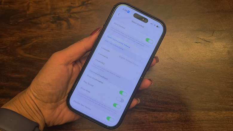 An iPhone in hand showing the settings menu for Voice Control.