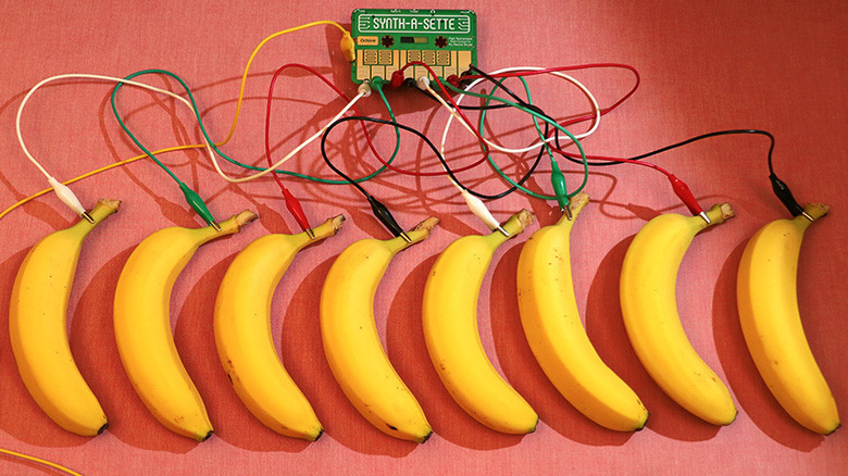 A circuit board with cables connected to a series of bananas