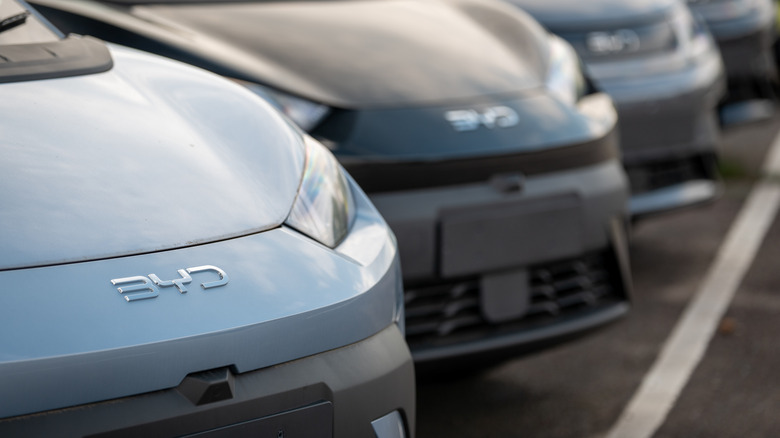 BYD electric cars lined up outside a dealership