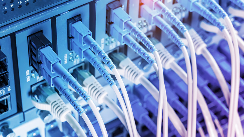 Ethernet cables connected to a network switch