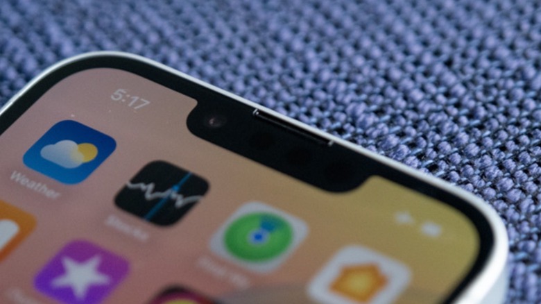 The notch on the iPhone 16e