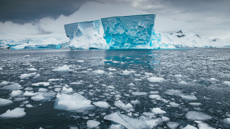 blue iceberg in Antarctica with an icy ocean
