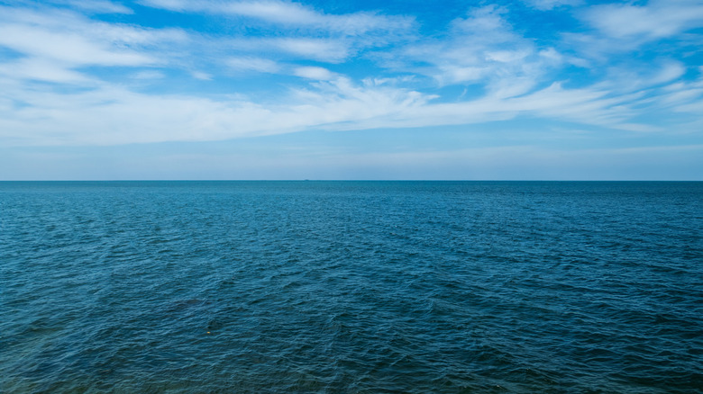 ocean under a blue sky with clouds