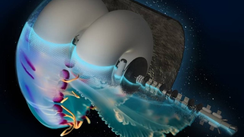 The illustration of a jellyfish-shaped spaceship that could take us beyond Mars