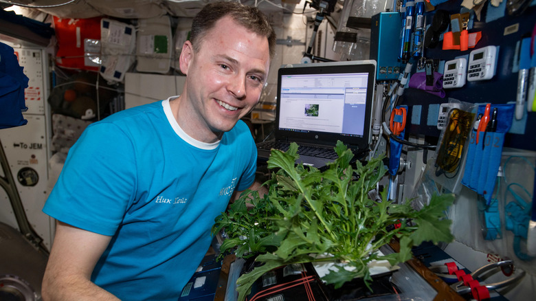 NASA astronaut Nick Hague harvests Mizuna mustard greens for VEG-04