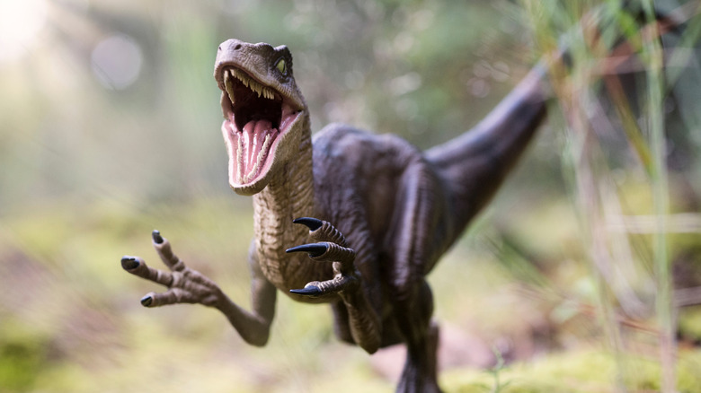 velociraptor roaring with claws out ahead of it