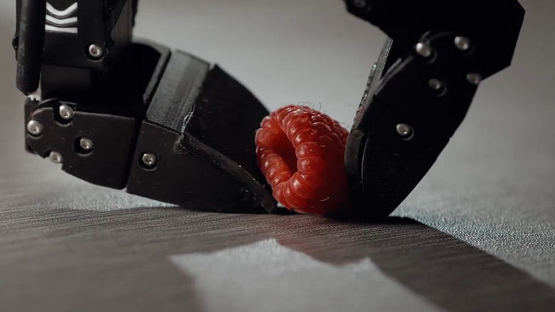 A close up shows two black robotic pinchers delicate grasping a bright red raspberry as it lifts it off the table