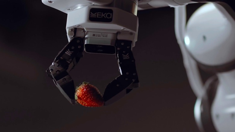 Eka's white robot holds a red strawberry up in its black claws