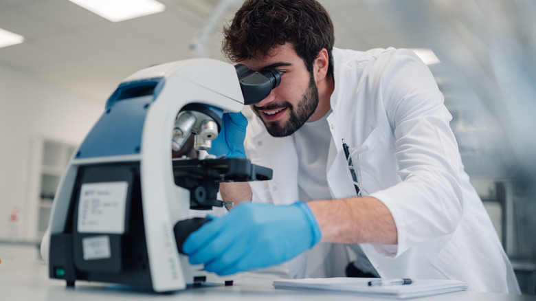 Scientist peering through a microscope