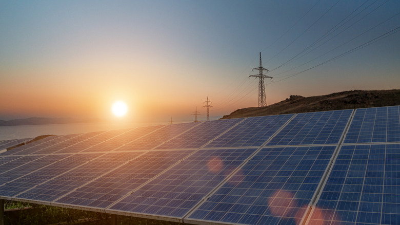 A solar farm with a setting sun in the background