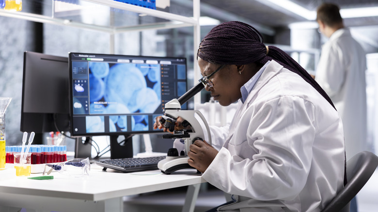 A scientist in a lab looks into a microscope