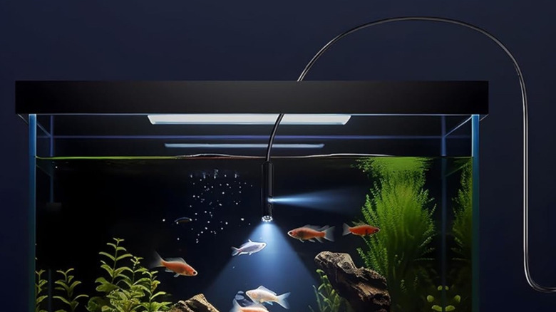 The Elecshion 1920P HD Snake Camera being used to investigate a water-filled fish tank.