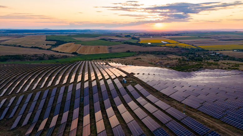 A solar farm in the countryside at sunset.