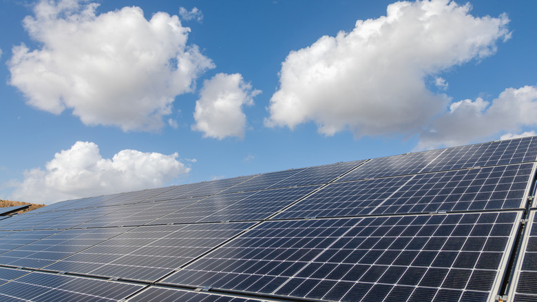 Solar panels with clouds overhead.