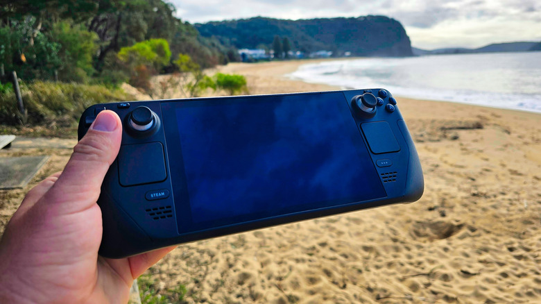 Person holding steam deck at beach