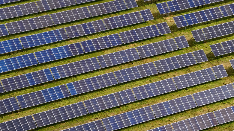 many rows of solar panels on a solar farm