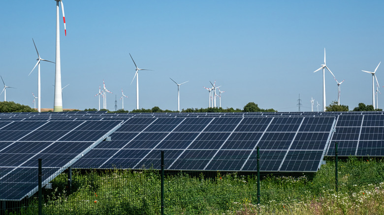 Solar panel farm.
