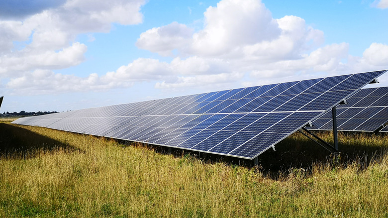 Solar panels on grassy ground.