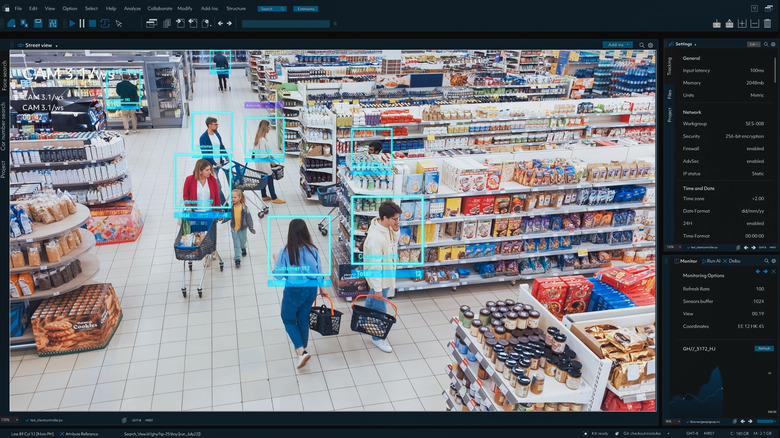 Software counting shoppers in a grocery store.