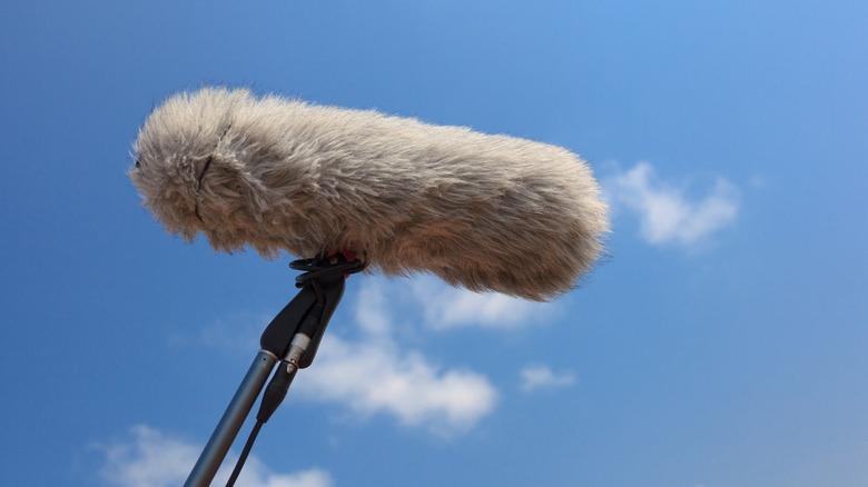 A synthetic fur boom microphone being used outdoors
