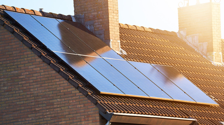 Sunlight hitting solar panels lined up on a roof