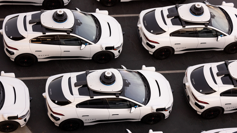 A fleet of Waymo cars parked.