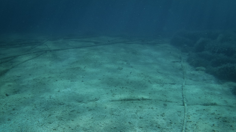 Internet cables on the floor of the Mediterranean Sea