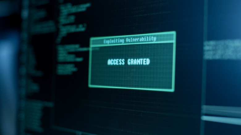 computer message stating access granted, exploiting vulnerability