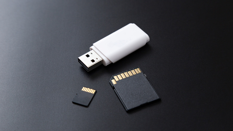 A USB thumb drive next to two SD cards of different sizes.