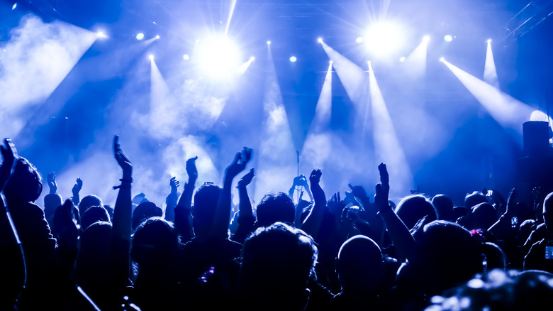 Crowd with arms raised during concert