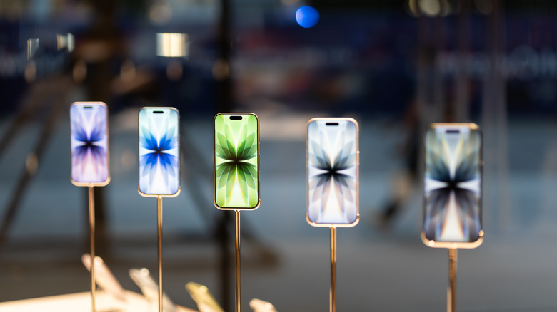 The standard iPhone 17 on display.