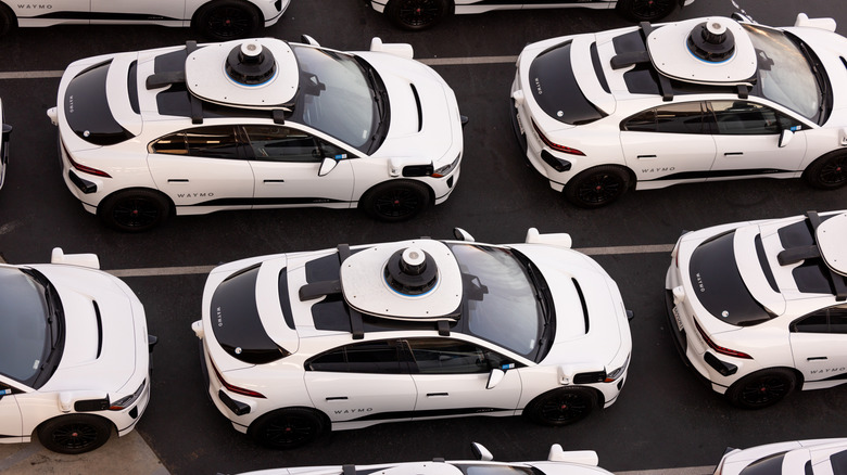 a bunch of Waymo robotaxis on a road