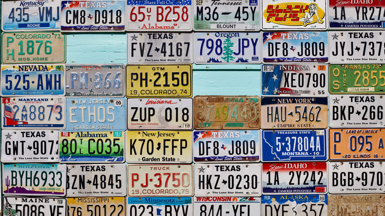 A number of U.S. state license plates mounted on a wall