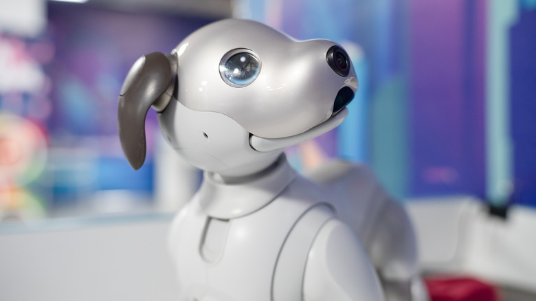 A close-up of the Sony aibo in front of a blurry background