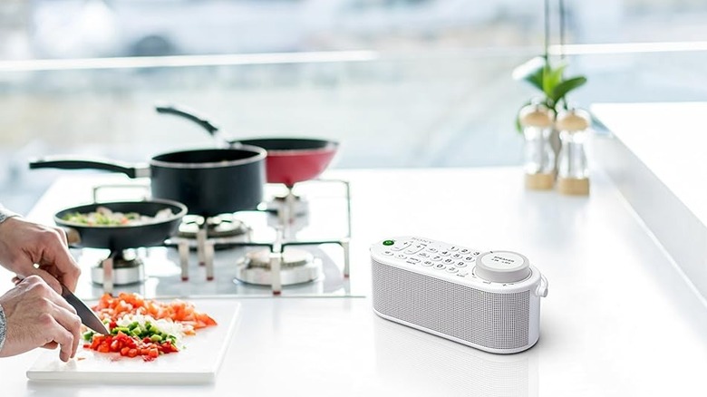 The 2-in-1 SRS-LSR100 speaker and remote placed on the counter