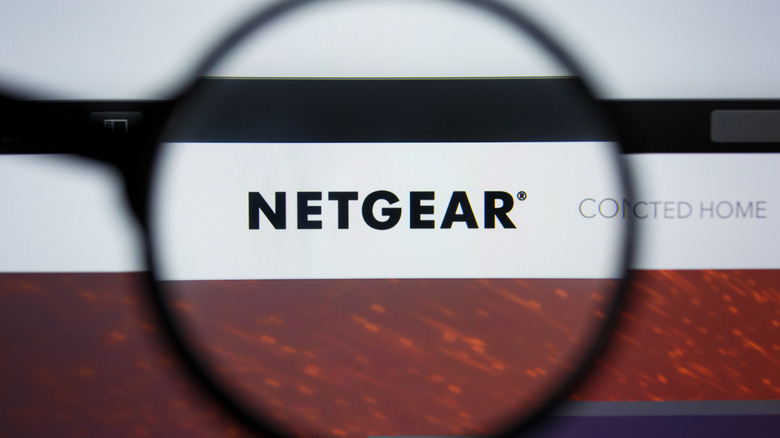 Netgear brand name with a magnifying glass over the top.
