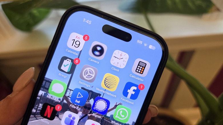 Close-Up of the top half of an iPhone showing the SOS symbol and four dots