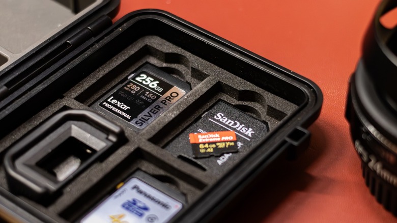 SD and microSD cards inside a case