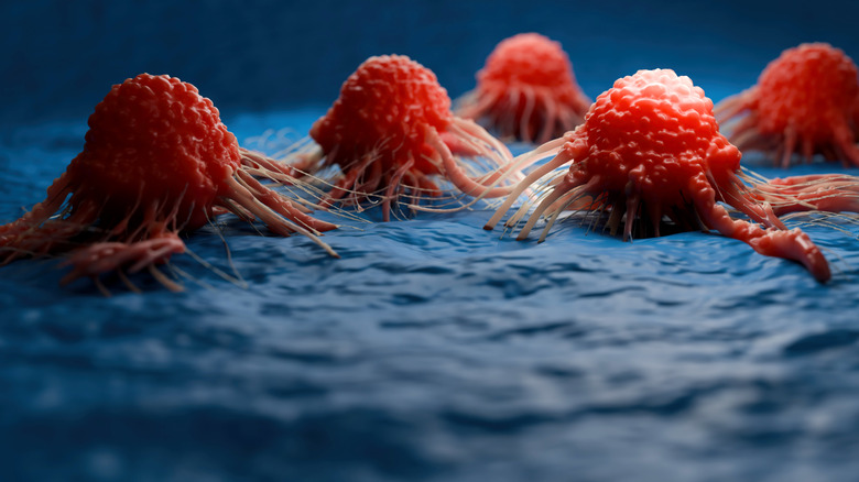 3D rendered closeup image of cancer cells