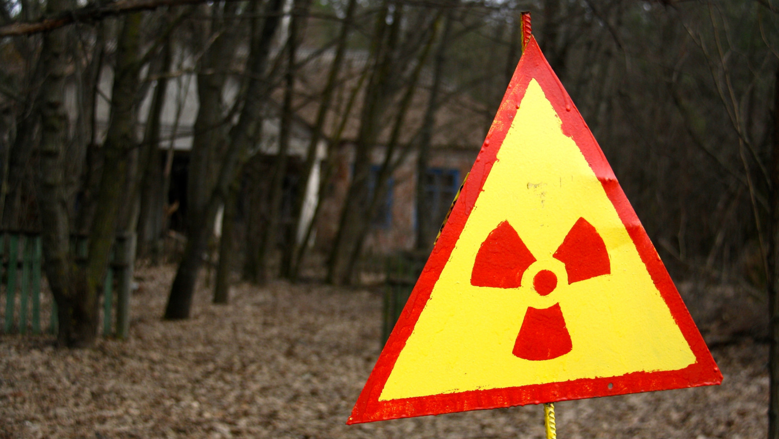 What Does Nuclear Radiation Actually Do To Your Body? – BGR