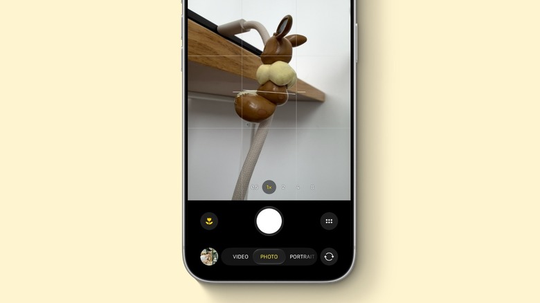 The iPhone Camera UI on a Macro Mode shot