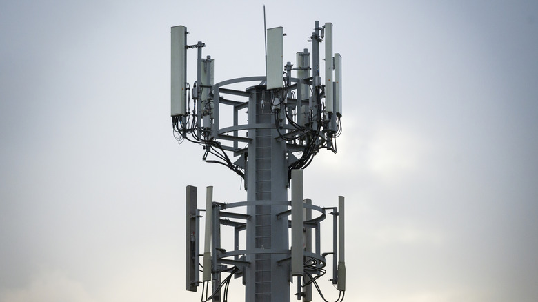 A cluster of mobile network antennae.