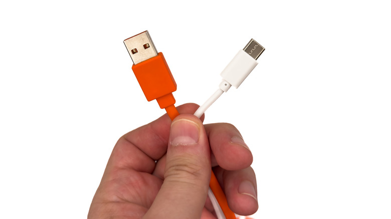 Hand holding a pair of USB cables