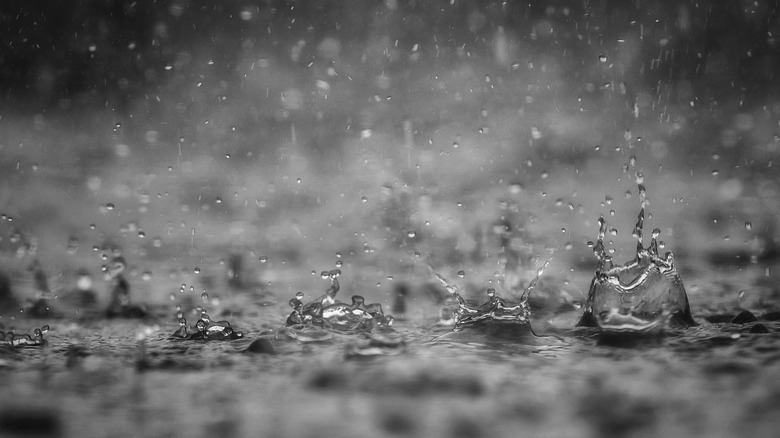 rain falling on the ground