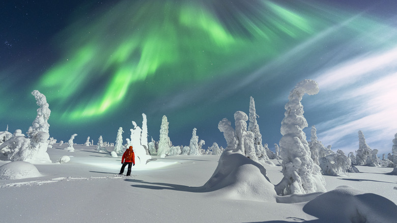 Hiker watches the Northern Lights in a snowy landscape
