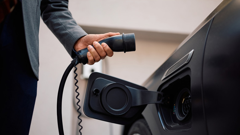 A person holding a charge cable for a hybrid car