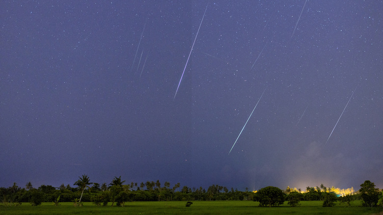A meteor shower in the night sky over a forest