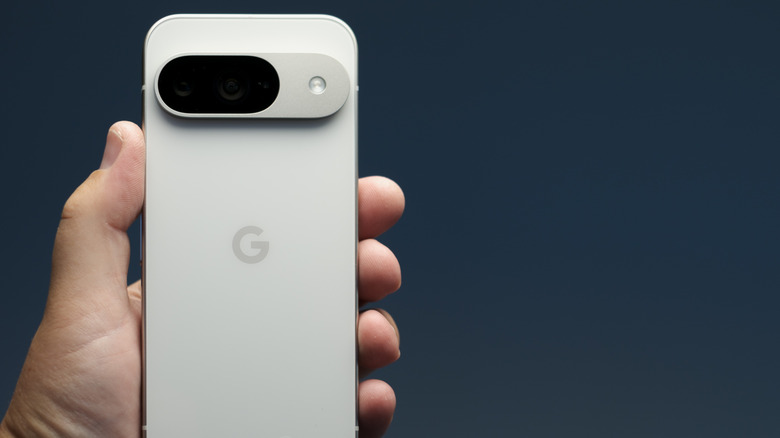 A person holding up the Google Pixel 9 smartphone.