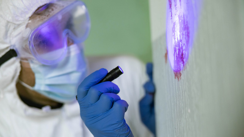 Analyst using a small UV black light flashlight to examine stains on a wall.